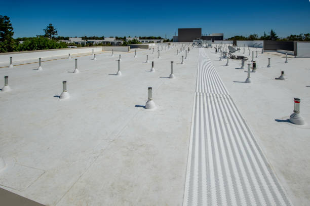 Best Rubber Roofing (EPDM, TPO)  in Cactus Flats, AZ